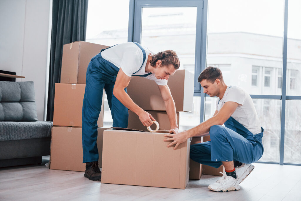 Movers and Packers in Bluewaters Island Dubai